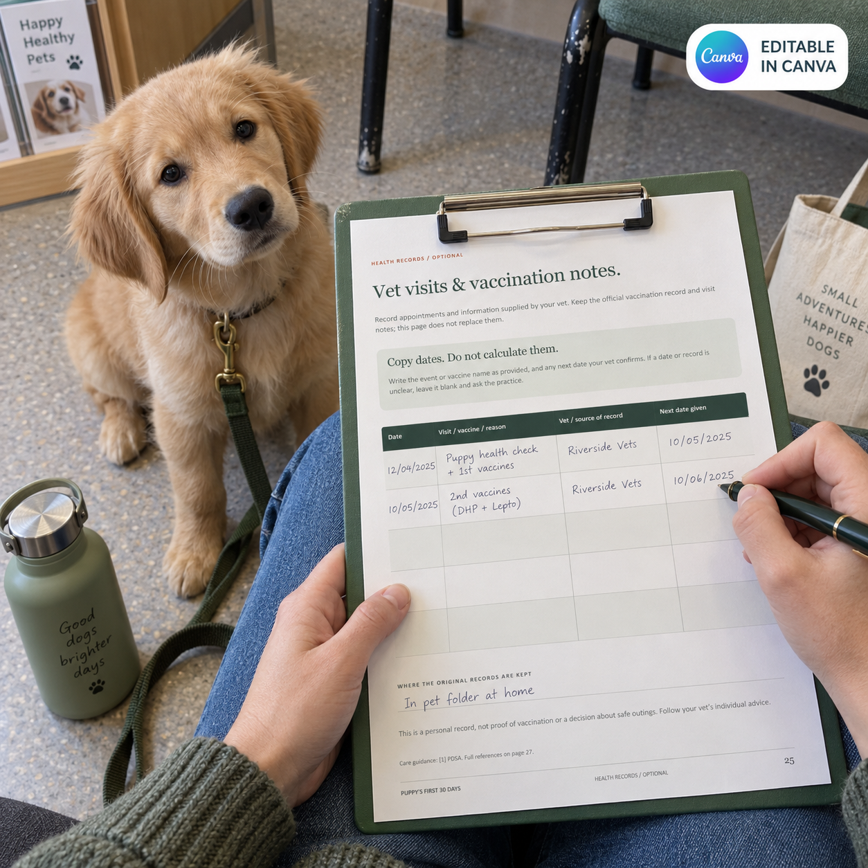 Printed vet visits and vaccination notes page being filled in at the vet