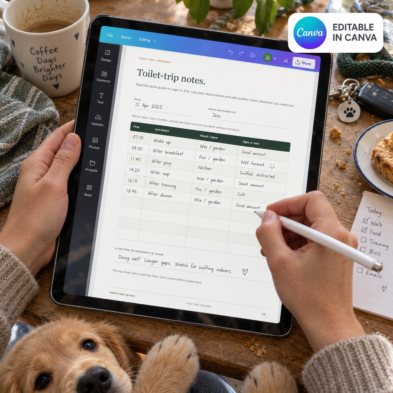 Toilet-trip notes page being edited in Canva on a tablet